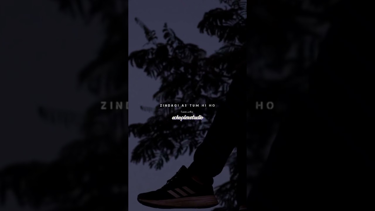 Tum Hi Ho (Slowed + Reverb) | Aashiqui 2 | Arijit Singh | Aesthetic Status | Late night  