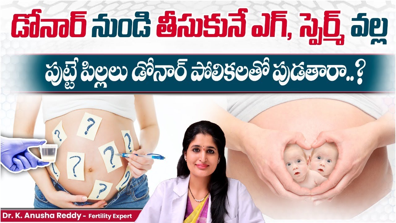 Self Egg vs Donor Egg: Which Is Better for Pregnancy? || Best Fertility Center || Dr.Anusha Ferty9