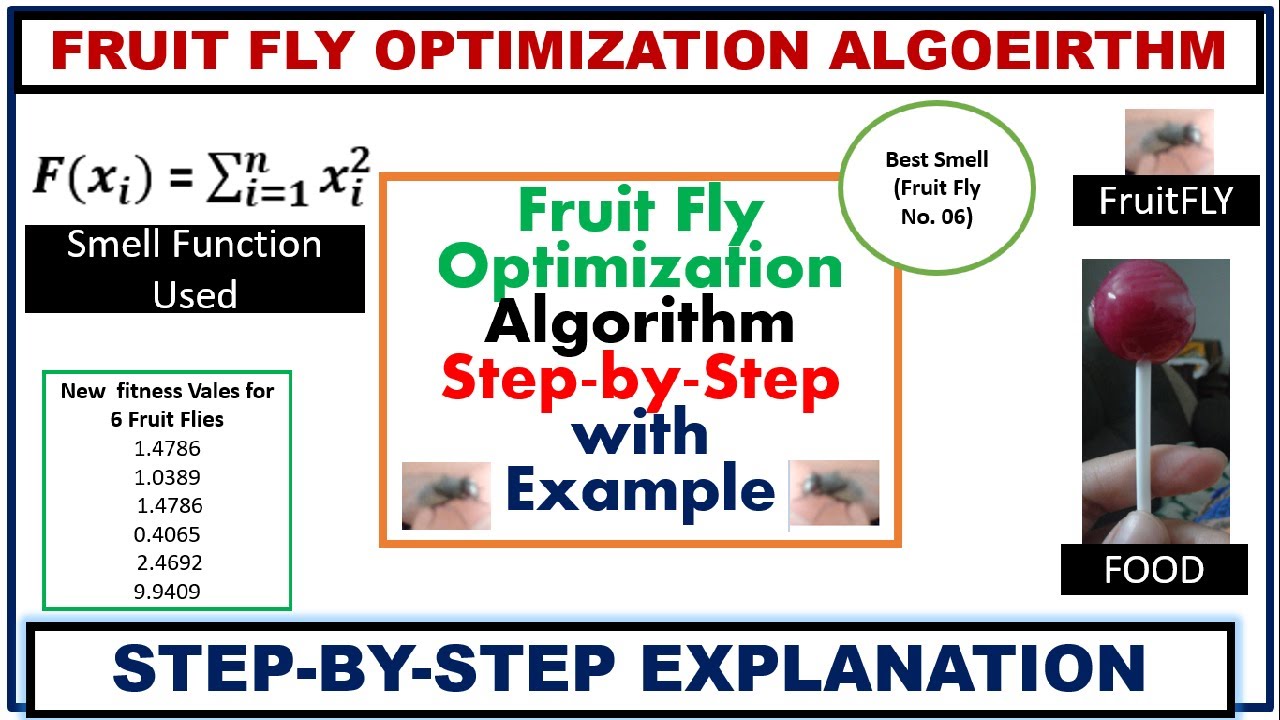 Fruit Fly Optimization Algorithm |Step-by-Step| With Example ~xRay Pixy