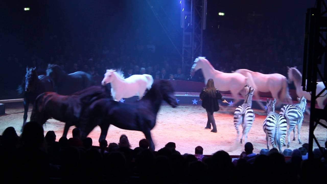 Circus Knie /  Weltweihnachtscircus Stuttgart 2015