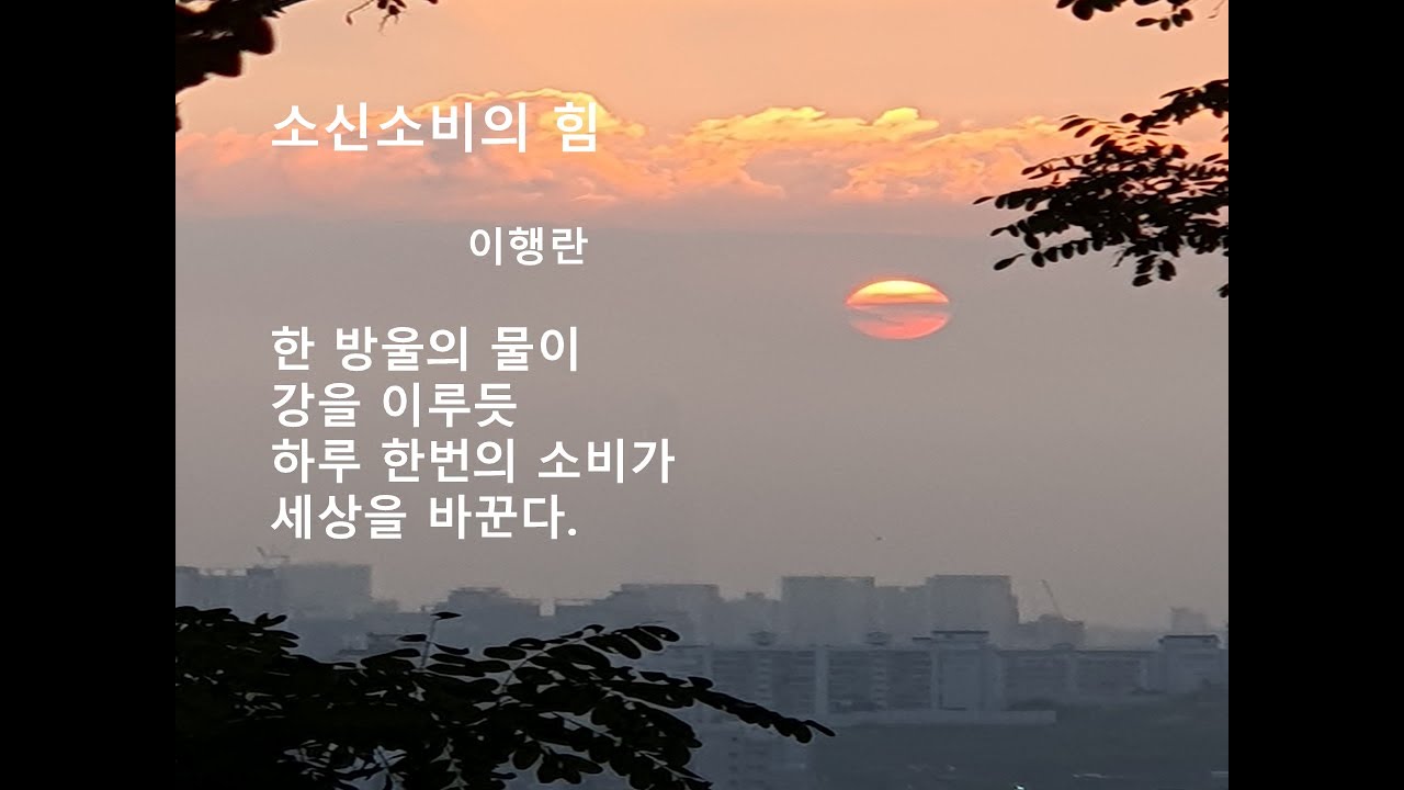 애국을 생각하는 지혜로운 소신 소비의 힘