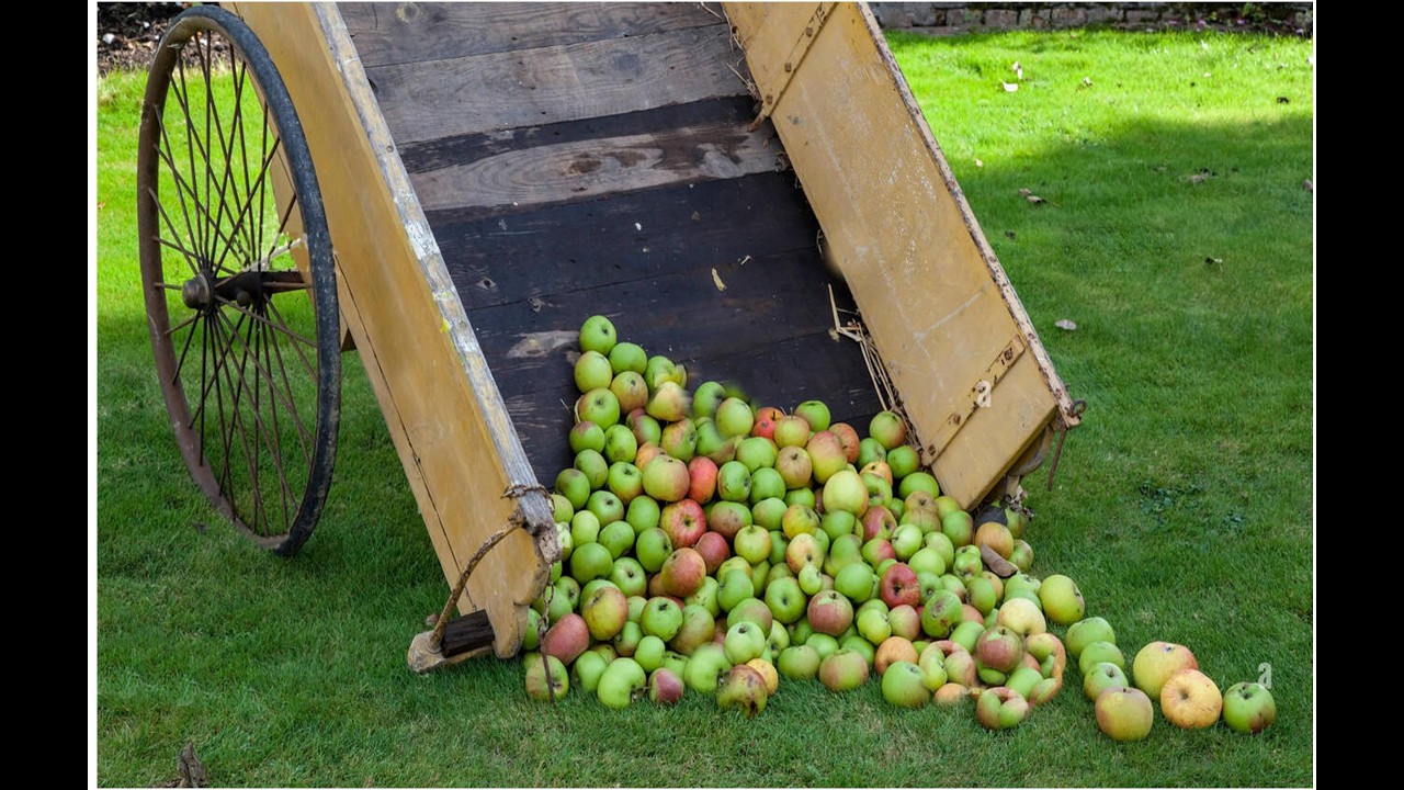 Don't Upset The Apple Cart   Revisited