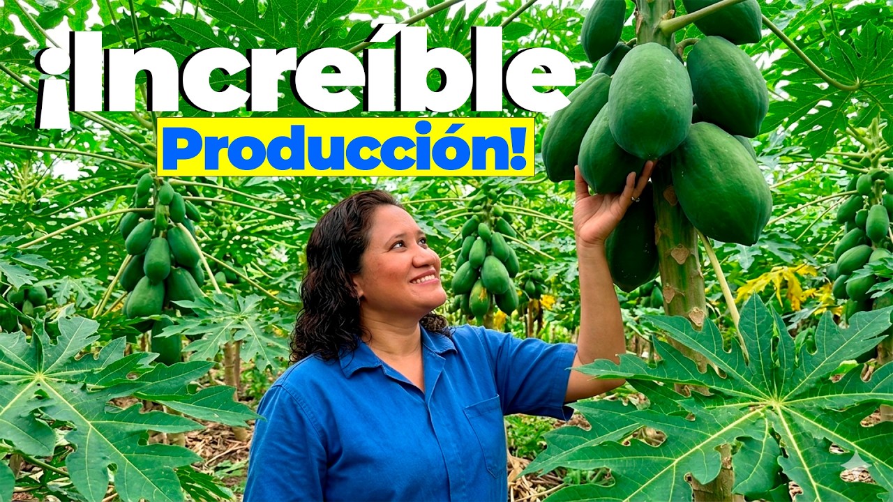 ¡El PUEBLO con las TIERRAS más FÉRTILES de Masaya! 🛶 Descubriendo TISMA🇳🇮🐟🌾