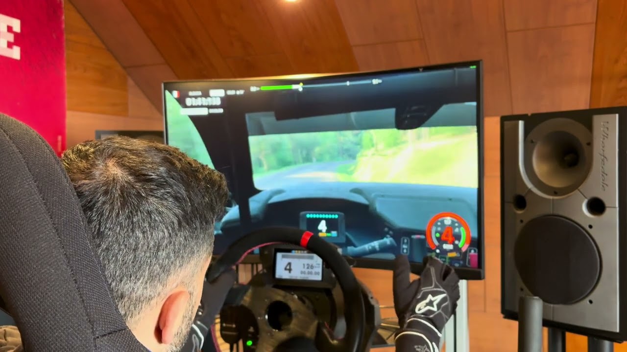 Assetto Corsa Rally/Tc-Forêt de Saverne/208 Rally4