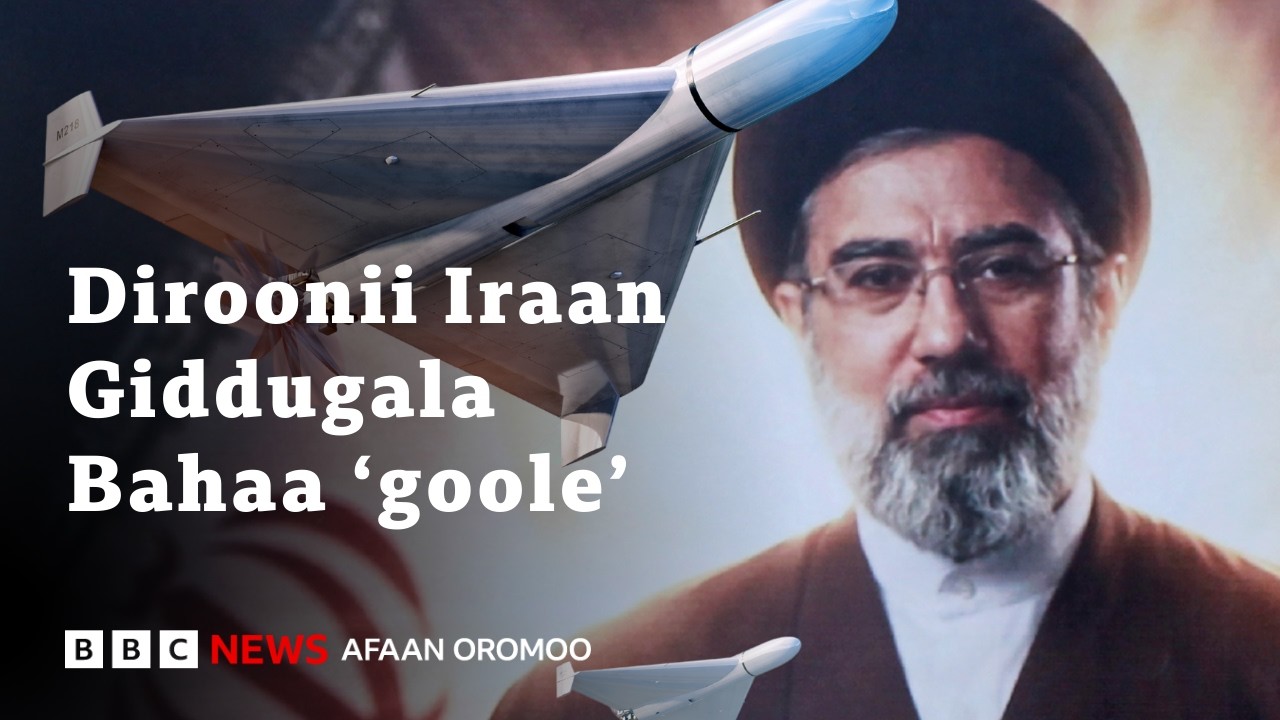 Shahed 136 - Diroonii Iraan 'balaafamaa' US fi Raashiyaan fakkeessan | BBC News Afaan Oromoo