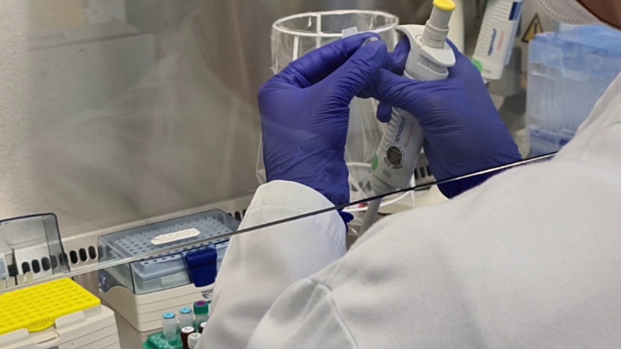 Testungsprozess zum Nachweis von COVID-19, Pathologie am LKH Feldkirch