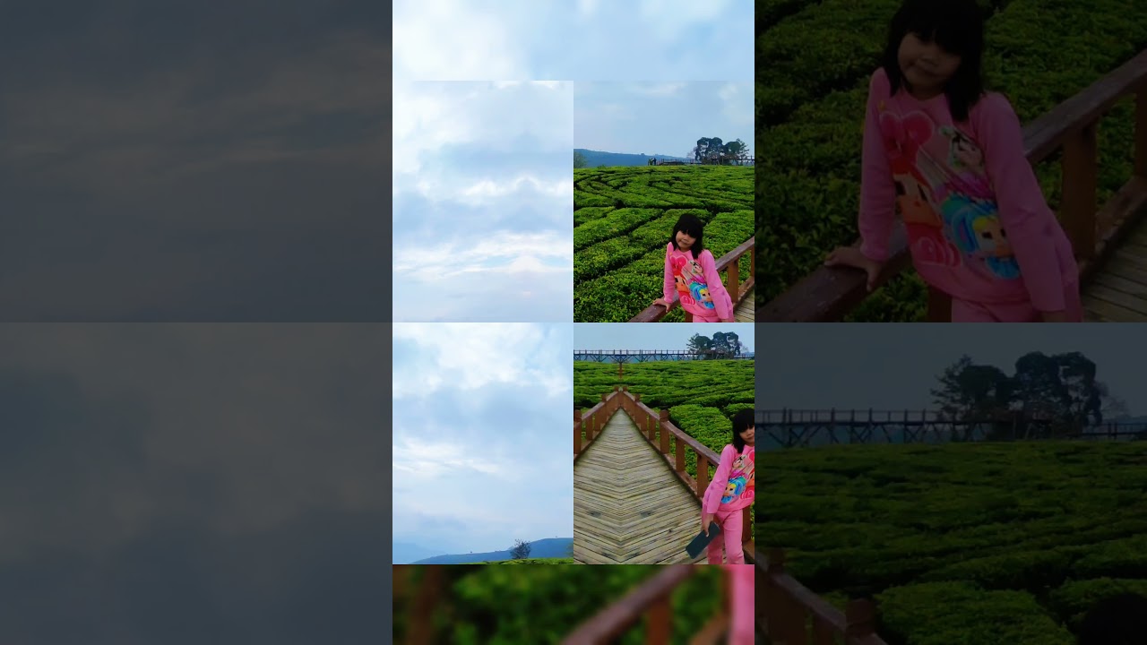 main di kebun teh @ceritaviana #hiling #kebunteh #pemandanganpegunungan