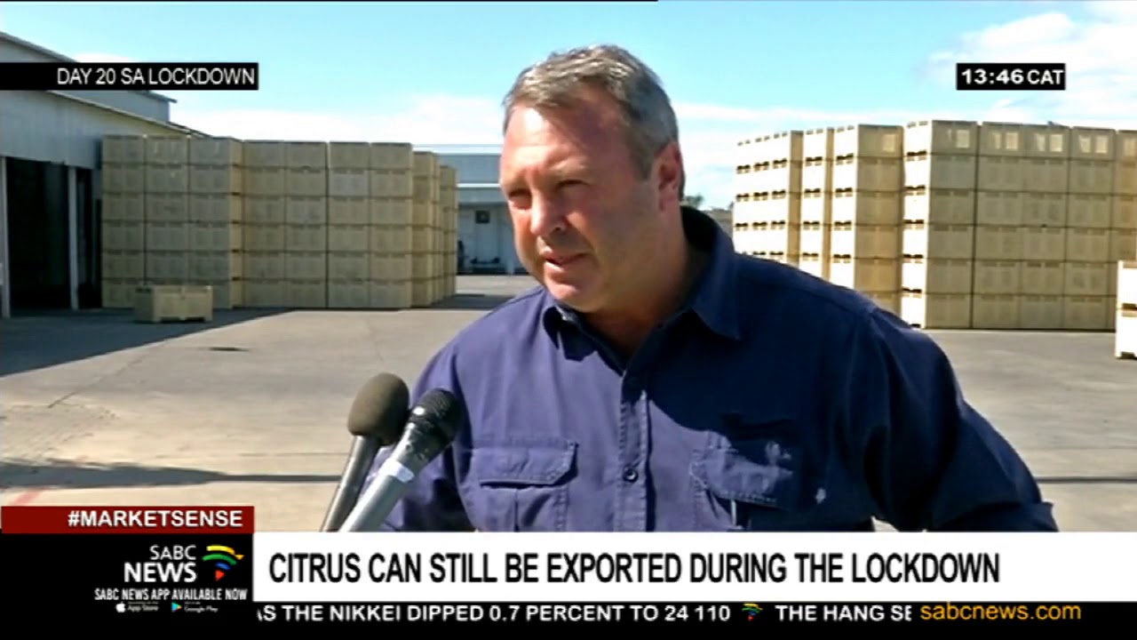 COVID-19 Lockdown | Citrus can still be exported during the lockdown