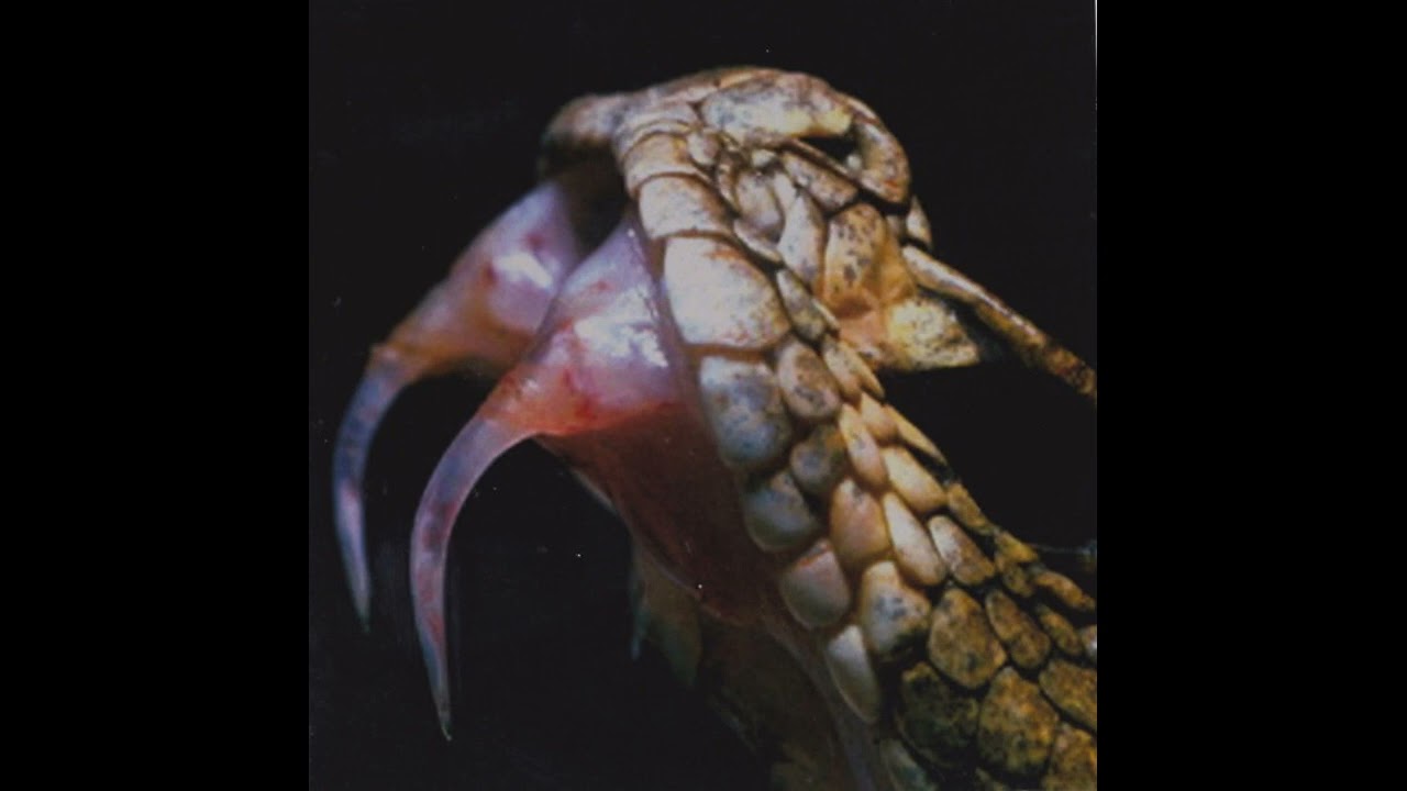 Reptile Womb (International) - Excretory D&aelig;monolatreia (Album 2019)