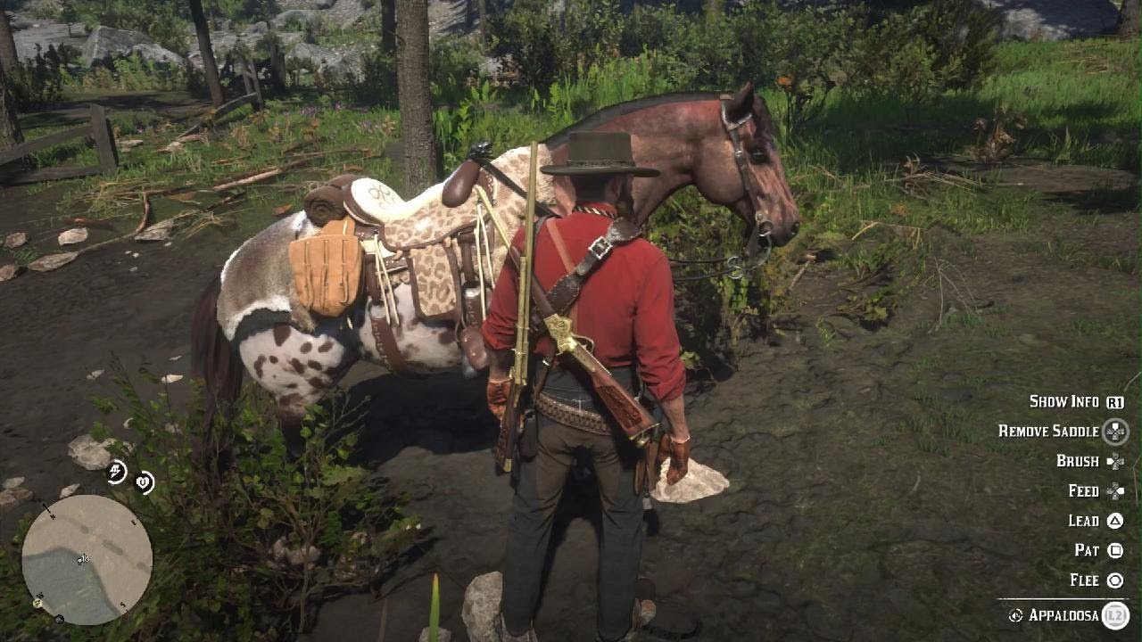 Red Dead Redemption 2_Aliens are among us