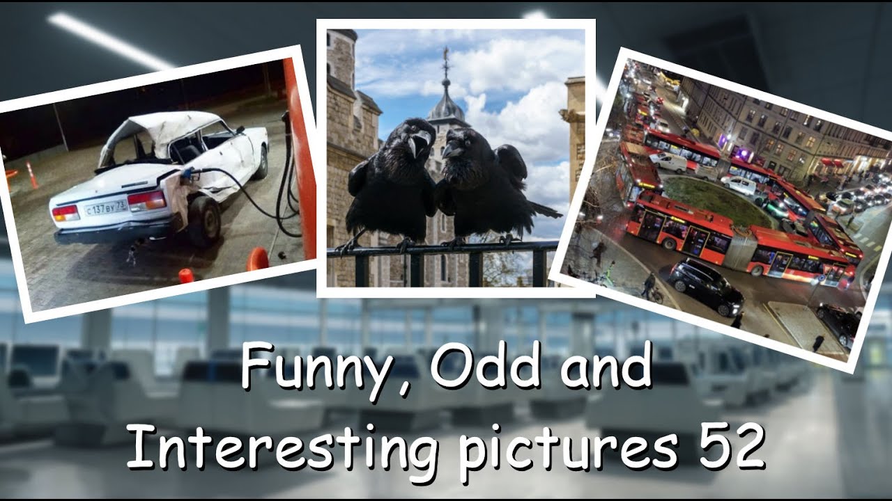 Funny, Odd, Interesting Pictures Video 52