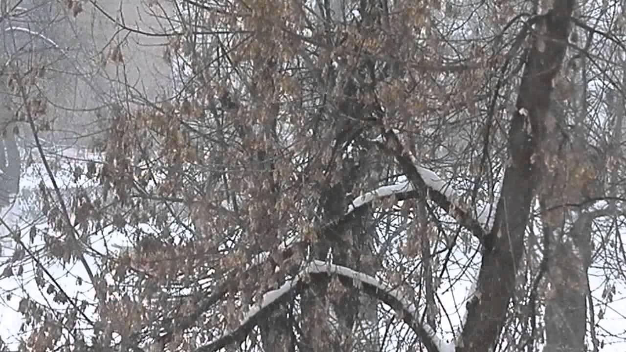 Такого снегопада давно не помнят здешние места....
