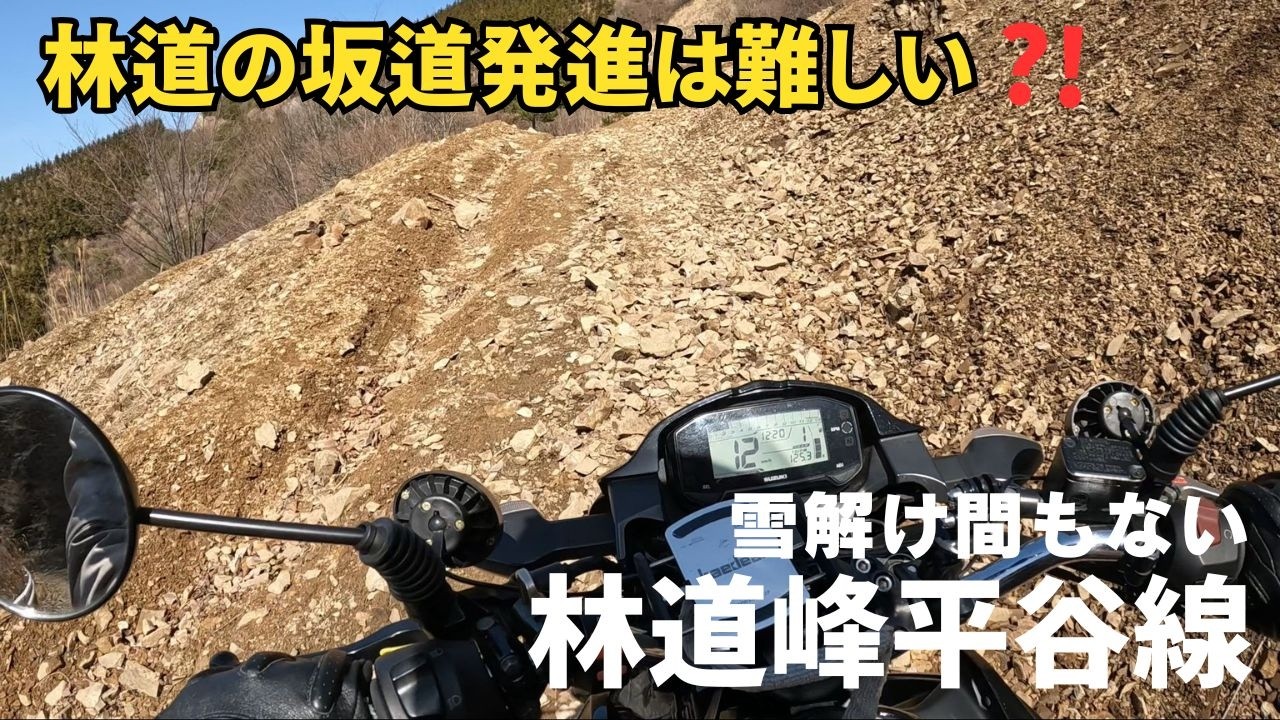 野迫川村 林道峰平谷線（全線） 雪が解けたので行ってみた GSX150 2026年3月 和歌山県