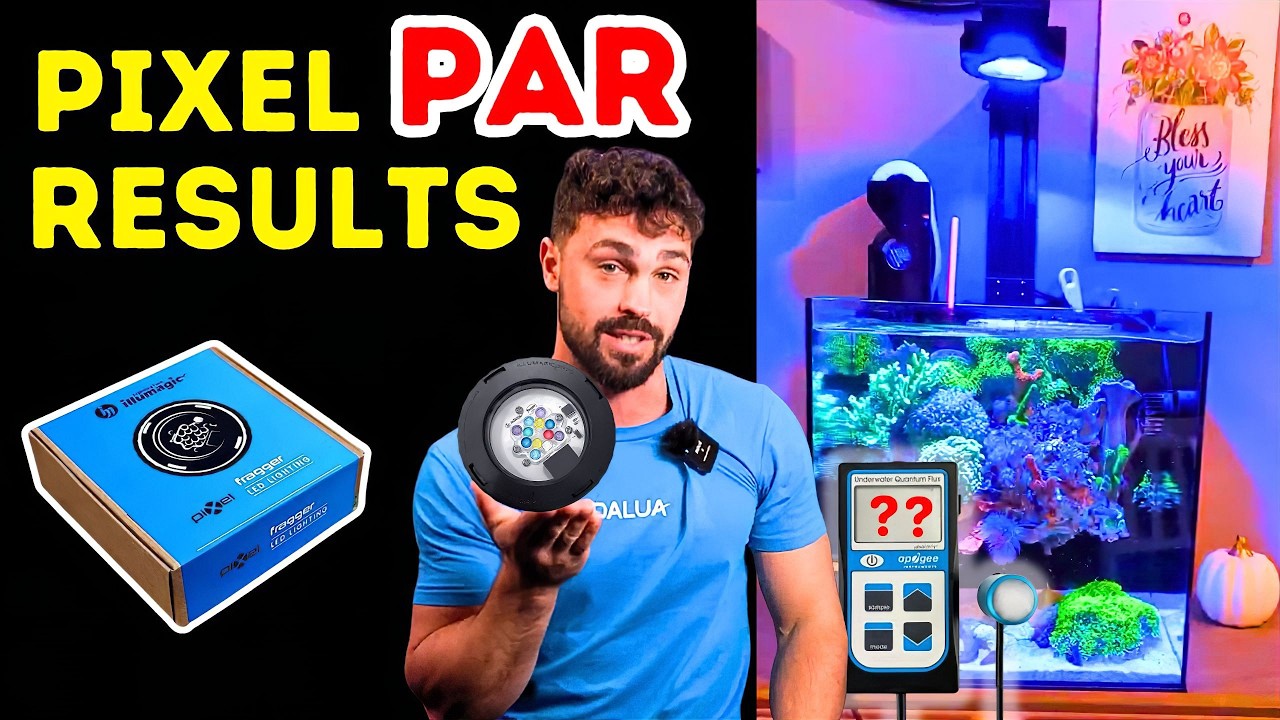 Pixel LED by DALUA: 25W Light That Crushes 55W Competitors