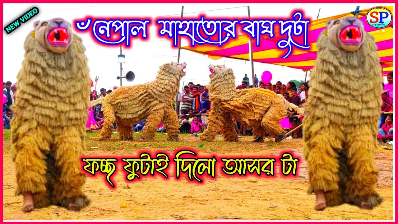 Nepal Mahato Bagh Nach ⭐নেপাল মাহাত বাঘ নাচ⭐Chhonach⭐@Serapurulia