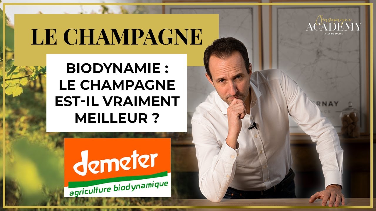 Qu'est ce que la biodynamie ? Le champagne est-il meilleur ?