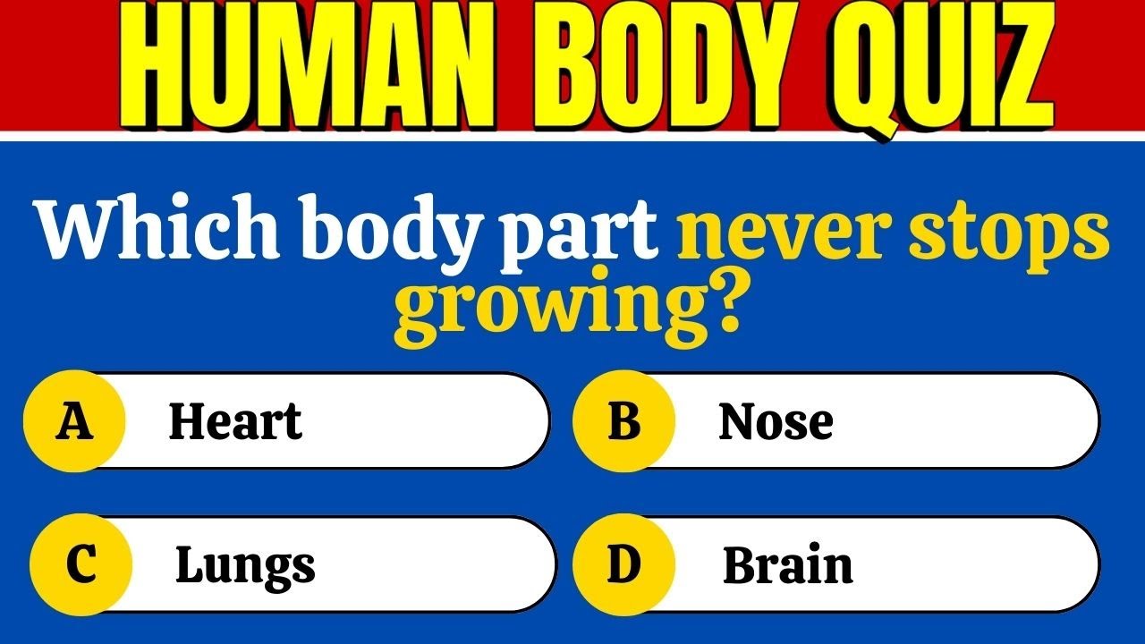 Human Body Questions Everyone Should Know | 40  General Human Body Quiz | Trivia Quiz