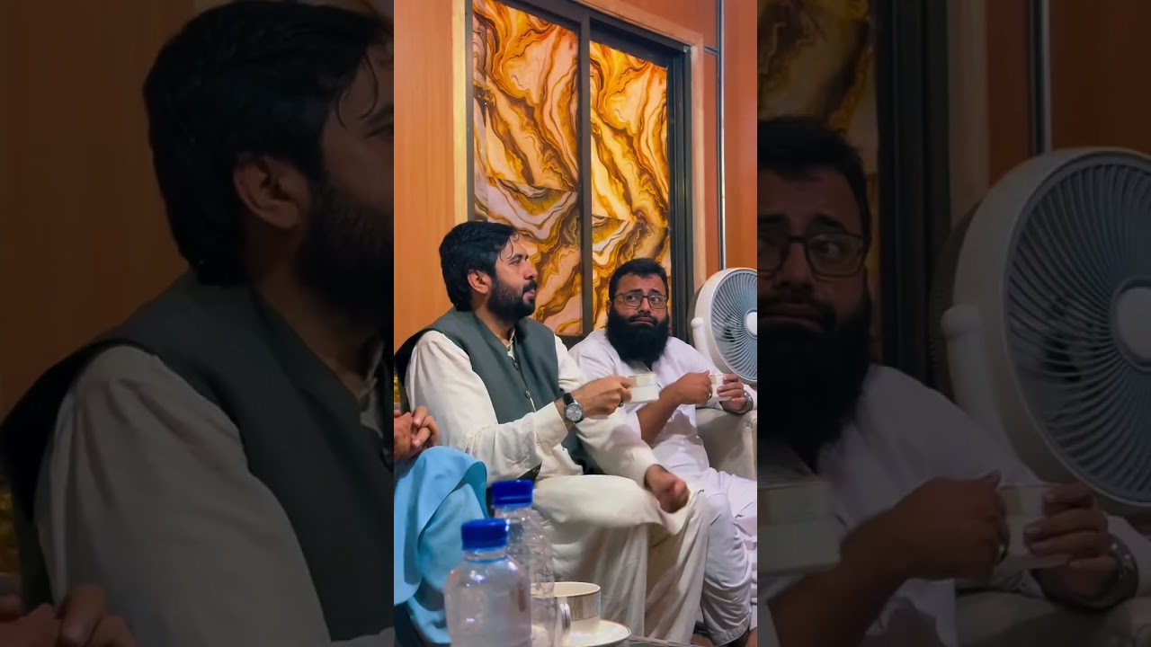 Visuals of PMML Spokesperson Dr Muzammil Iqbal Hashmi Participating in JI Mall Road Protest Sit-In