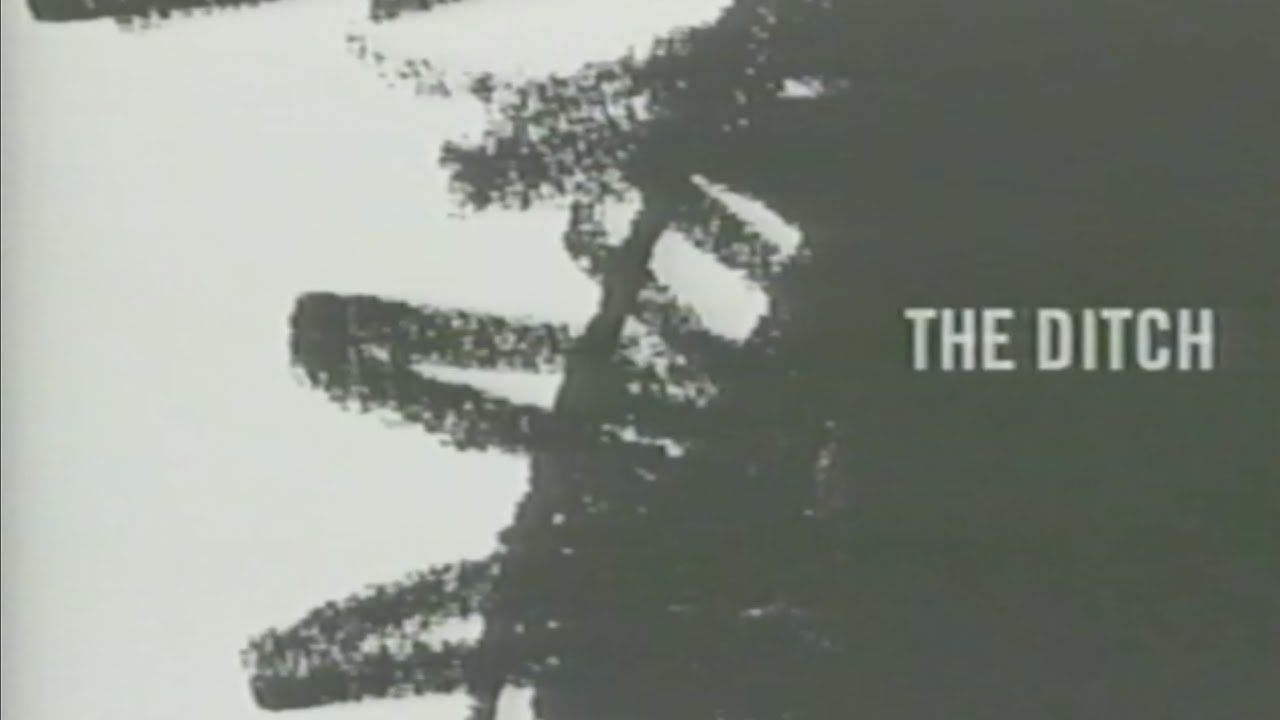 The Ditch | Unabomber Skateboards - Headcleaner | '01