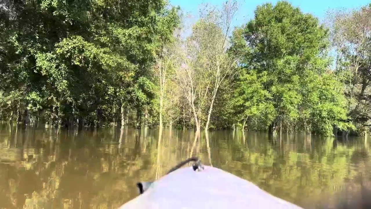 My driveway and surrounding areas during the flood of 2025. The water rose 16 feet!