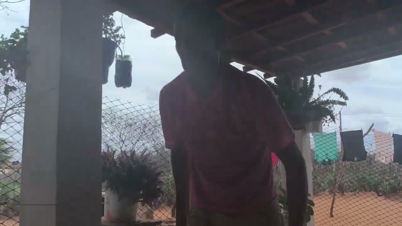Benedito banha sua cachorra com um shampoo medicinal 