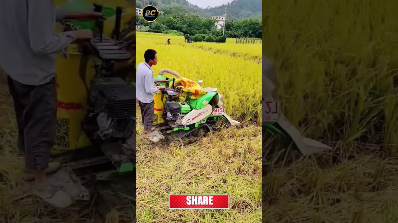 Mini combine harvester I Mini harvester #harvester #shorts