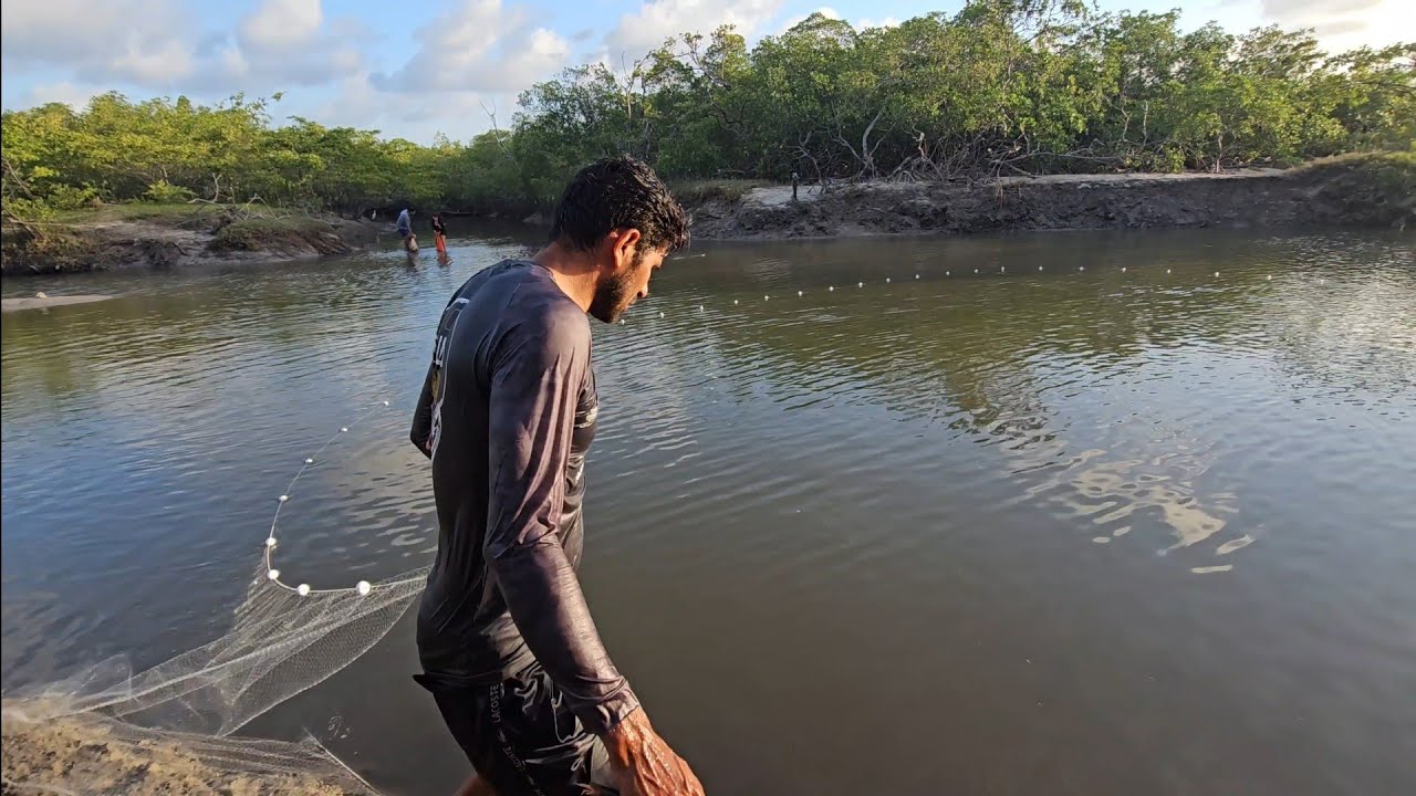 CERCOS NAS TAINHAS,  VEJAM QUANTA FARTURA. 