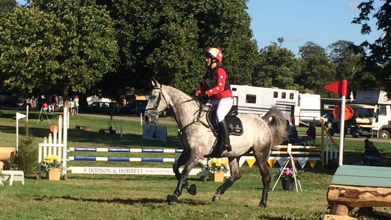 Blenheim Palace 90cm Eventers Challenge