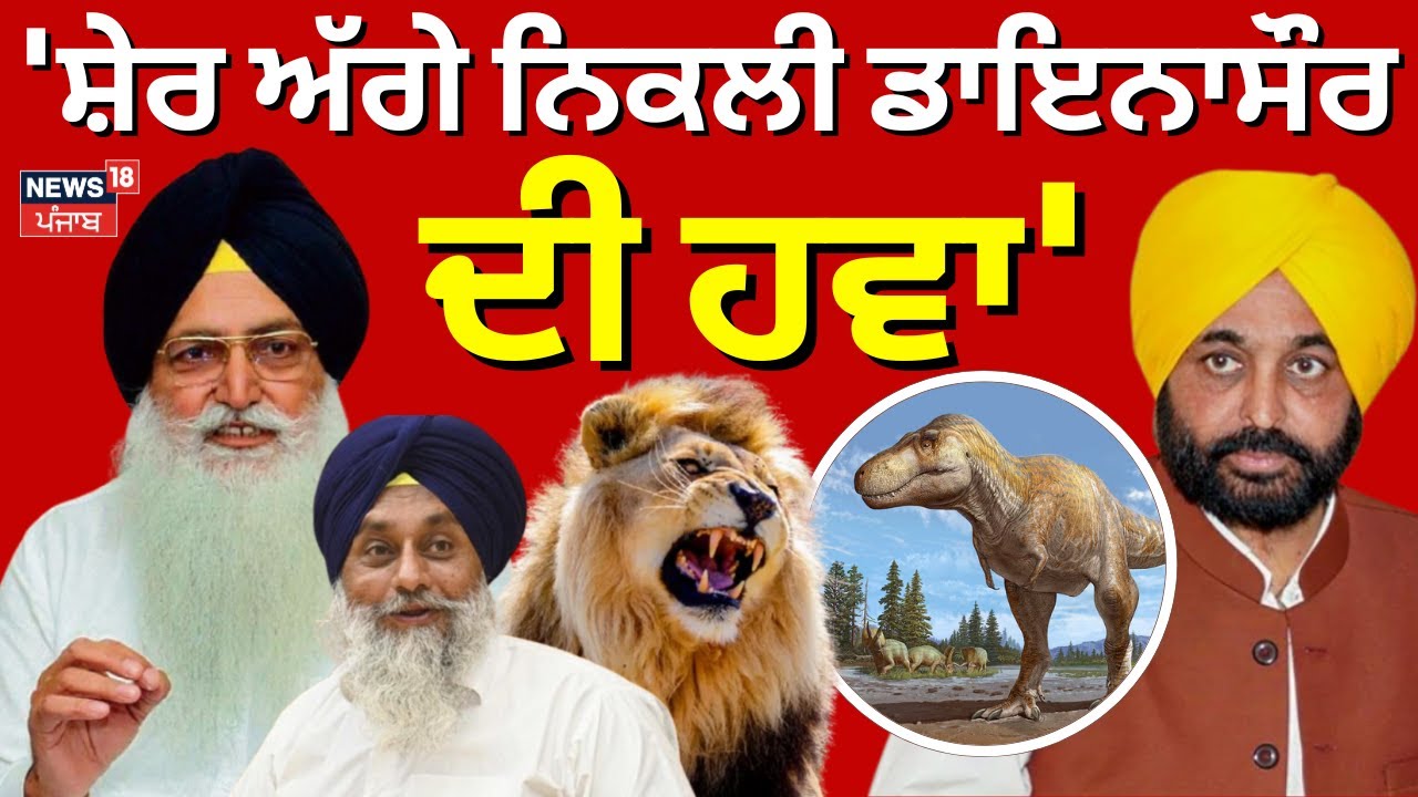 Live | AAP vs Akali Dal | 'ਸ਼ੇਰ ਅੱਗੇ ਨਿਕਲੀ ਡਾਇਨਾਸੌਰ ਦੀ ਹਵਾ' | Bhagwant Mann | Sukhbir Badal |AIVideo