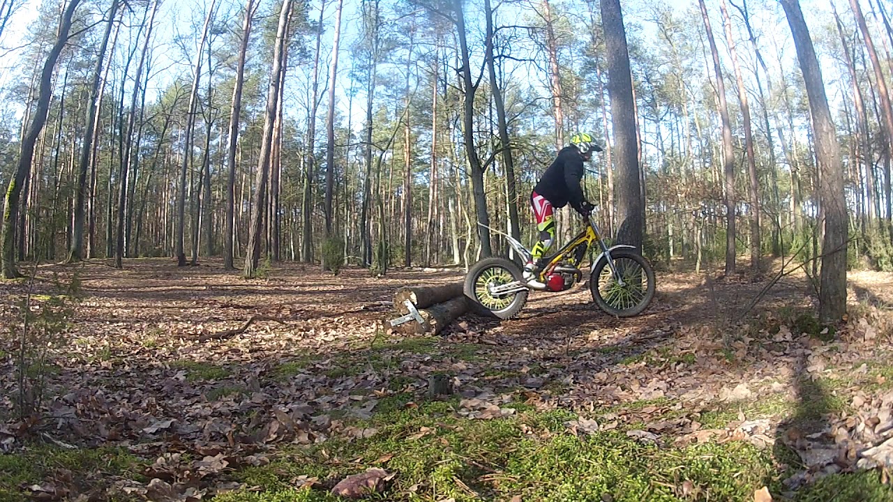 08.02.2020 Triple log