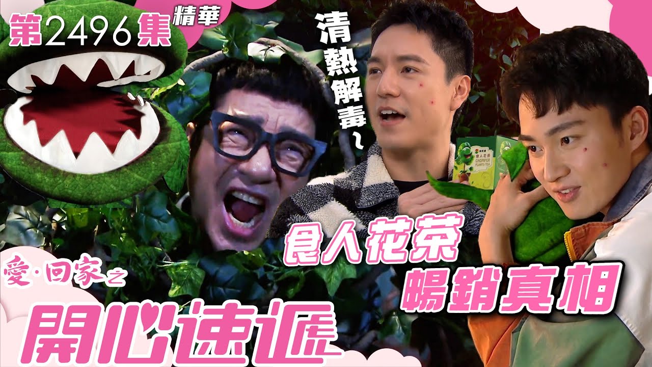 愛回家之開心速遞｜食人花茶暢銷真相(繁／簡字幕)｜周嘉洛｜吳偉豪｜第2496集劇集精華｜TVB港劇精華 #喜劇 #搞笑 #電視劇