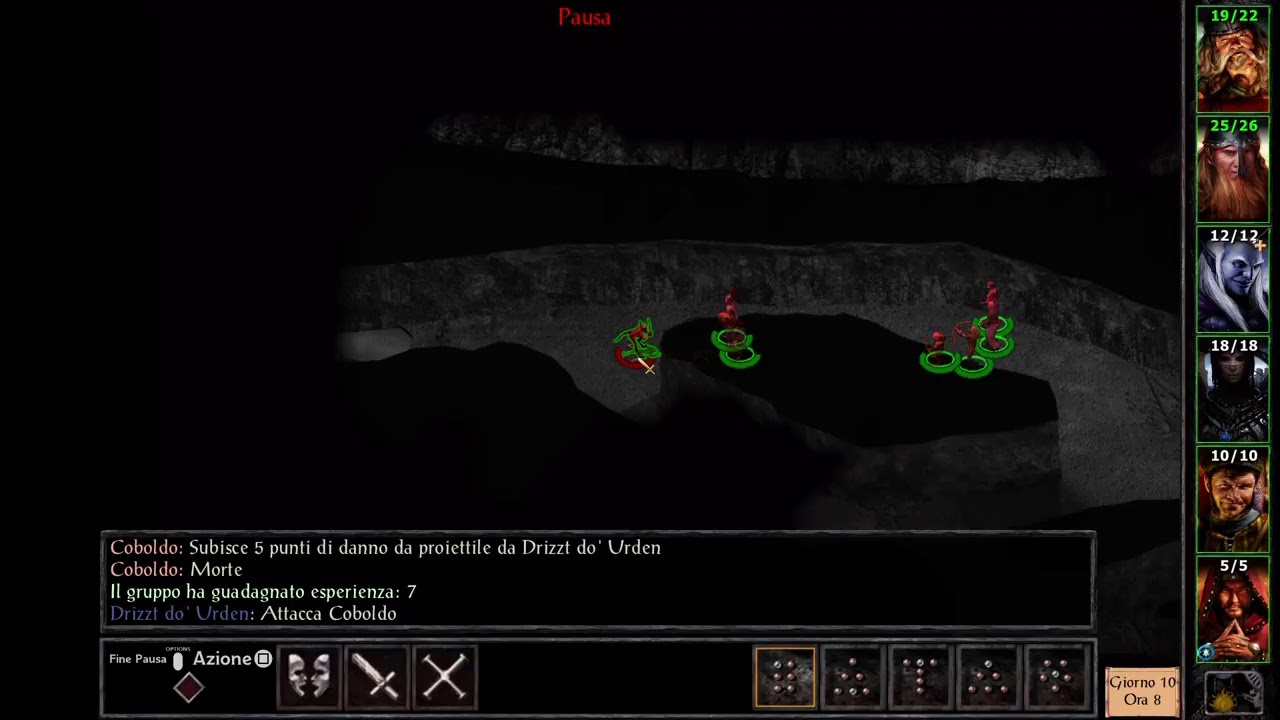 Baldurs Gate Companions of the Hall Party Ita