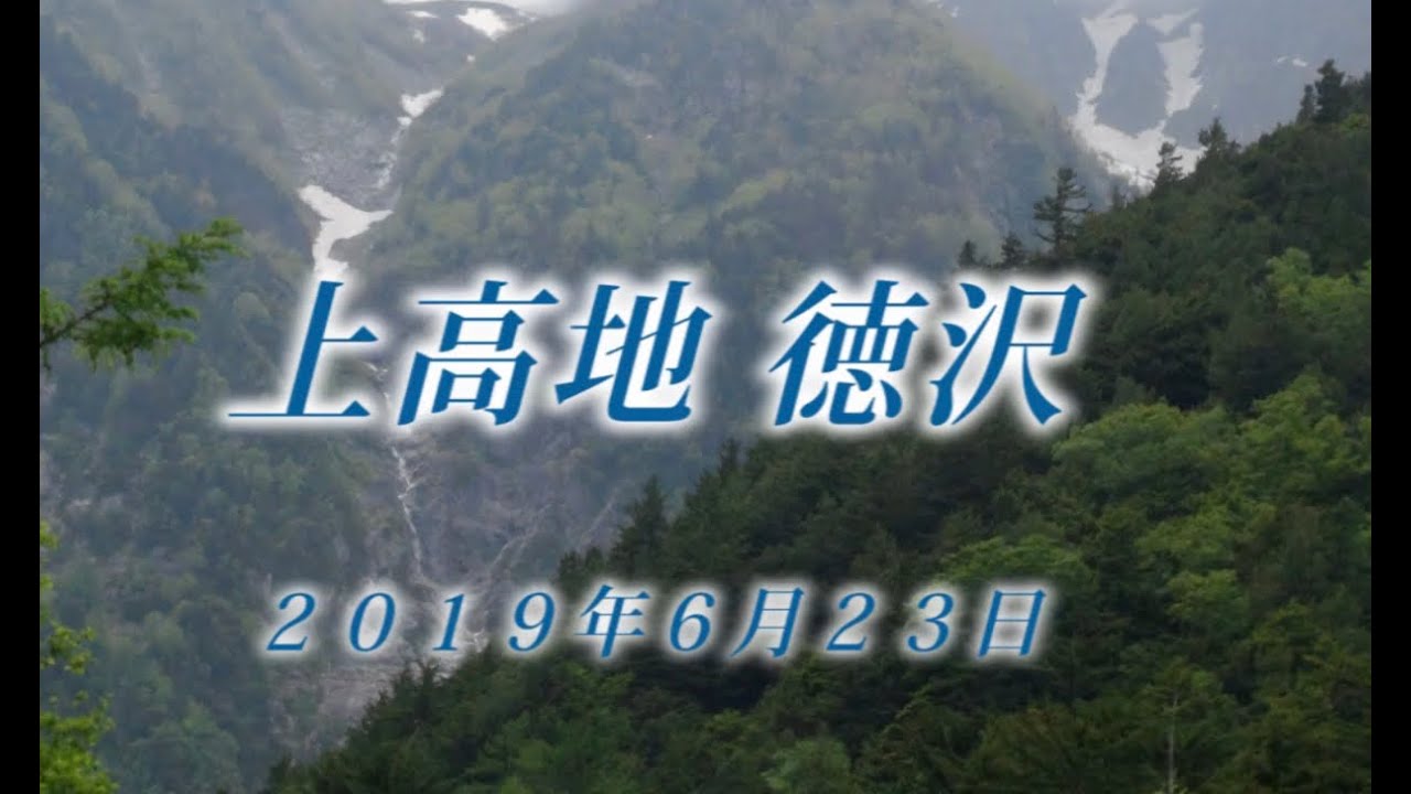 158 北アルプス上高地6月 2019年6月23日徳沢 - 生物多様性体験保全センター 高山植物を主とした野生植物の映像集