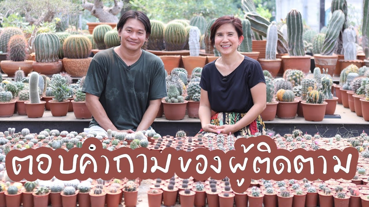 ถามตอบเรื่องแคคตัส กับภูเขา กระท่อมลุงจรณ์ | Cactus Journey EP.43