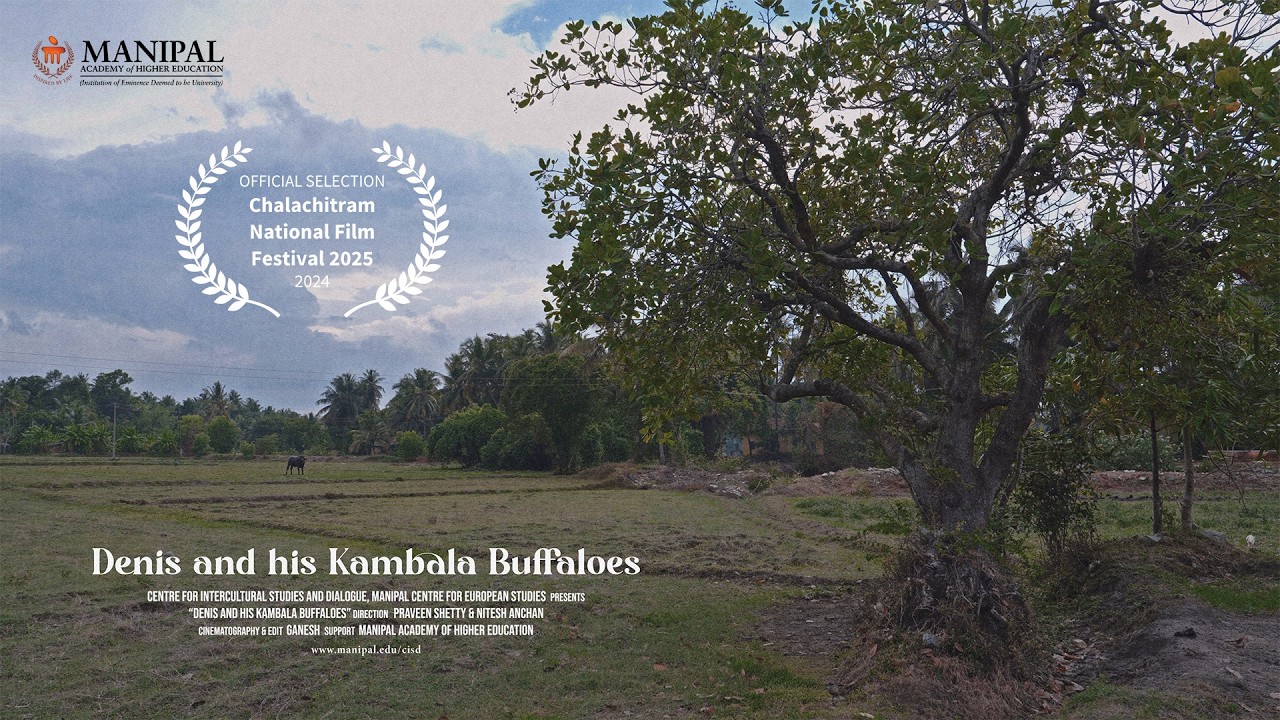 ಡೆನ್ಸಾ ಬೊಕ್ಕ ಅರೆನ ಕಂಬಳದ ಎರ್ಲು (Denis and His Kambala Buffaloes) | Kambala