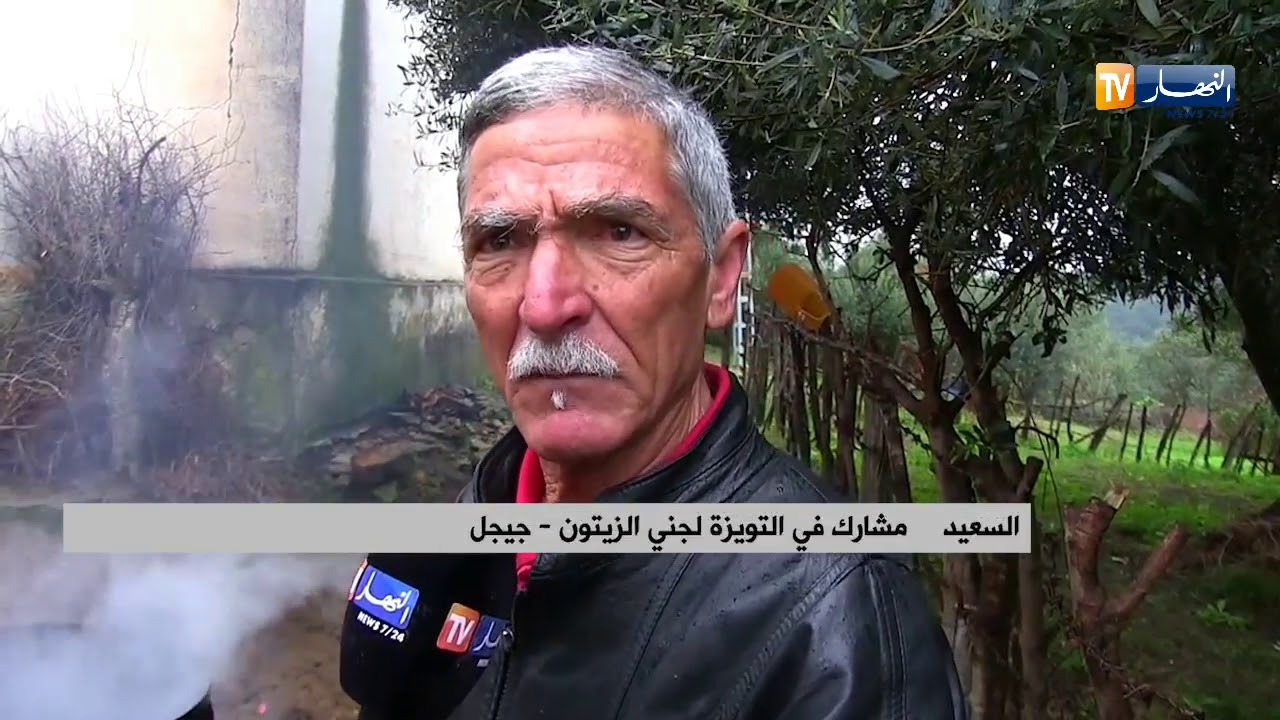 جيجل : جني الزيتون..عادات وتقاليد لاتزال المرأة الريفية تحافظ عليها !!
