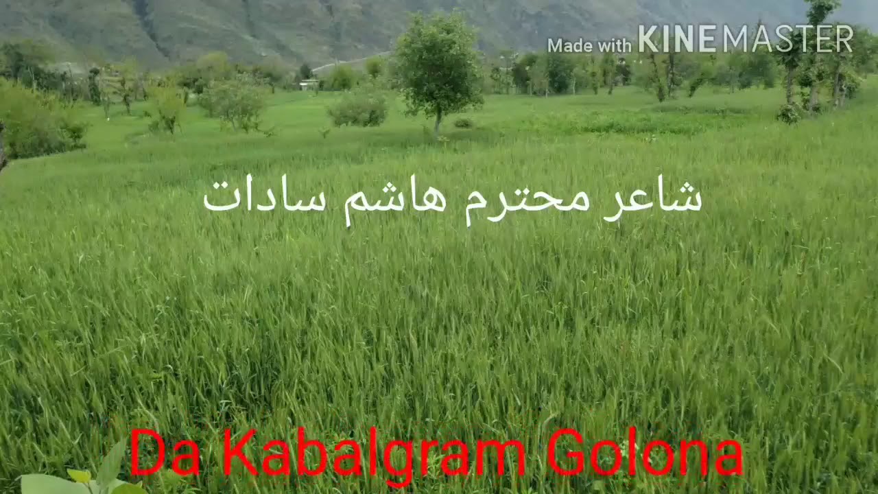 hasham sadat new nazam
