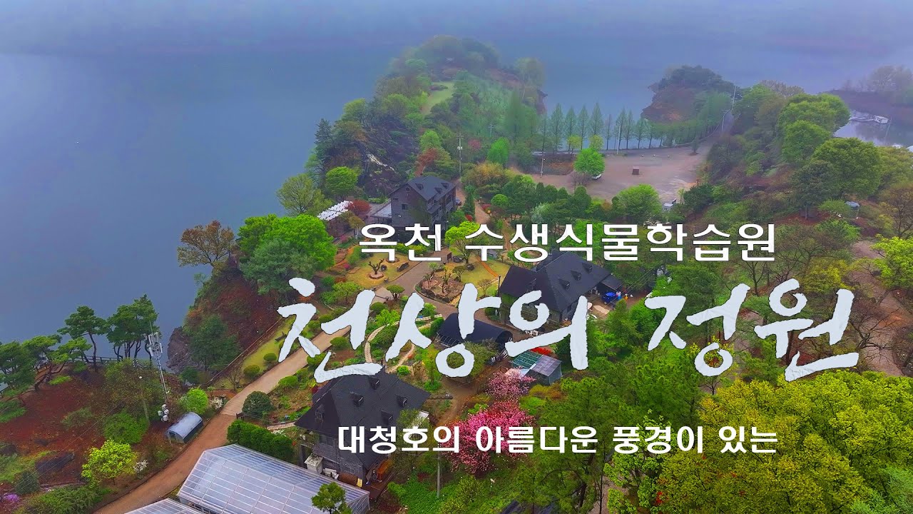 [홍보영상]  천상의 정원 / 옥천 대청호의 아름다운 풍경이 있는 곳 /  수생식물학습원