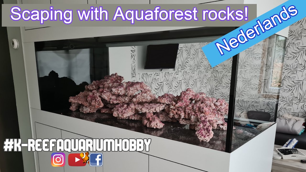 Rif opbouw met Aquaforest stenen