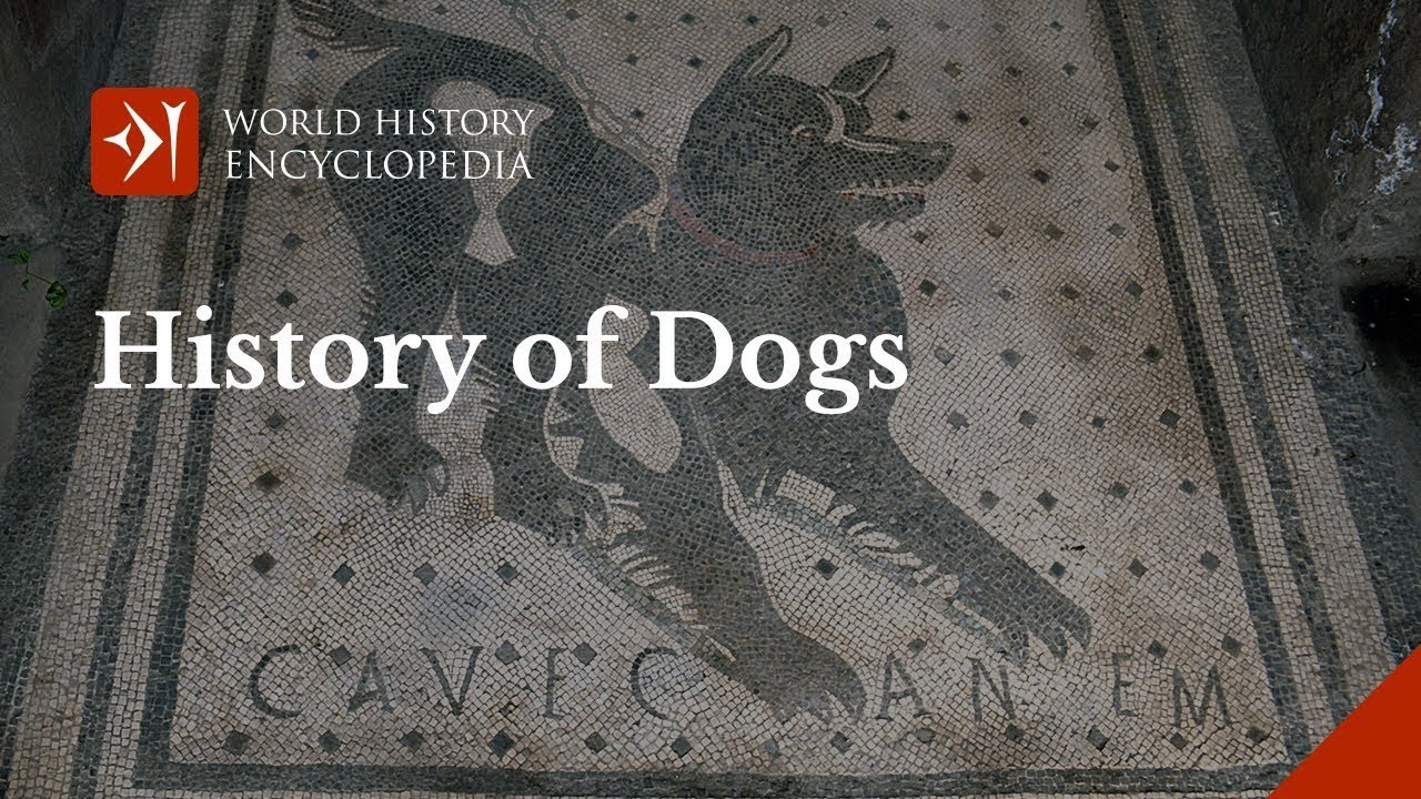 The Long History of Dogs in Honour of International Dog Day