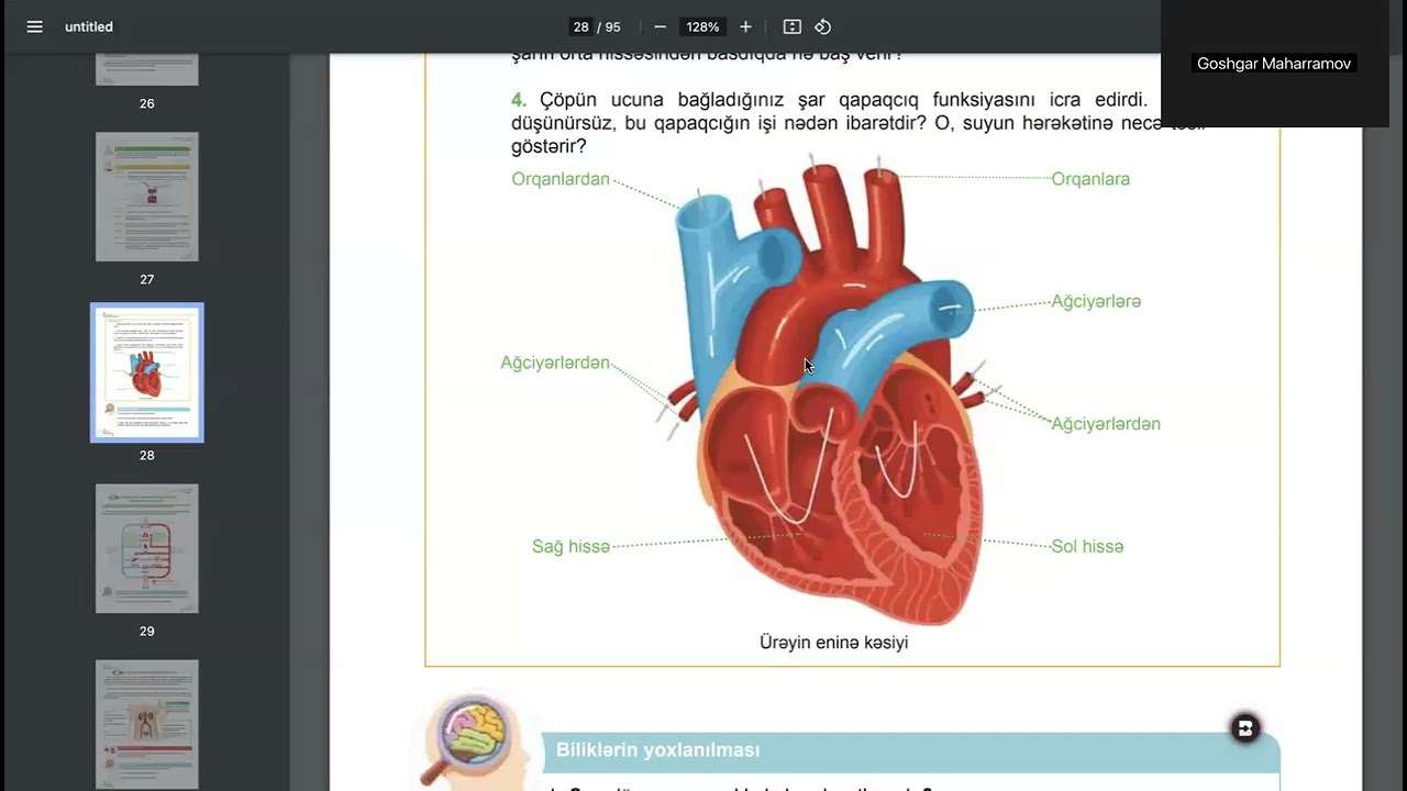Bir loxma Biologiya - 10 (Ürək və ağ ciyər)