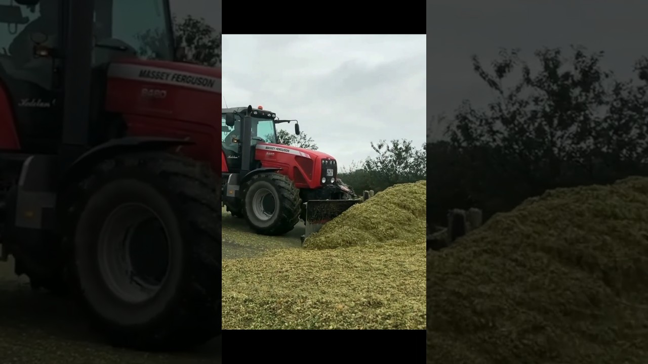 Tractor Combine Wheat Silage 2023