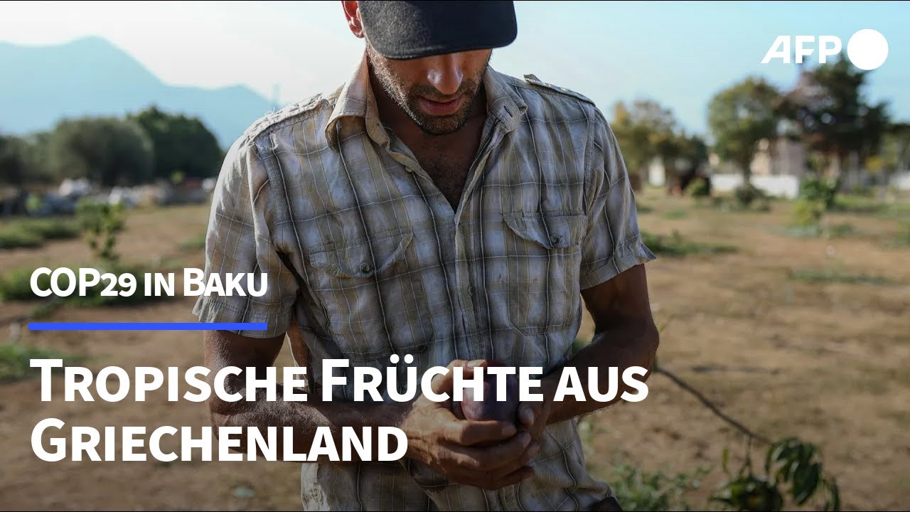 Klimawandel: Tropische Fr&uuml;chte aus Griechenland | AFP