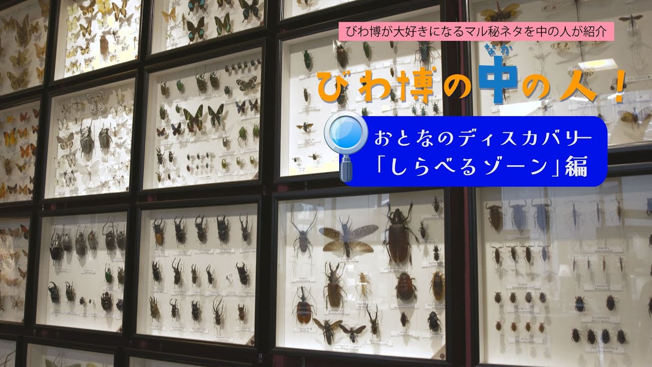 【びわ博の中の人】おとなのディスカバリー しらべるゾーン