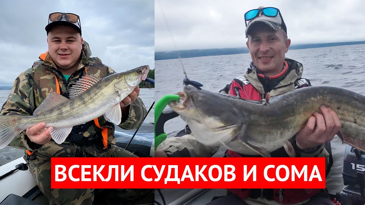 Судак и сом на джиг. Рыбалка на Сурском водохранилище