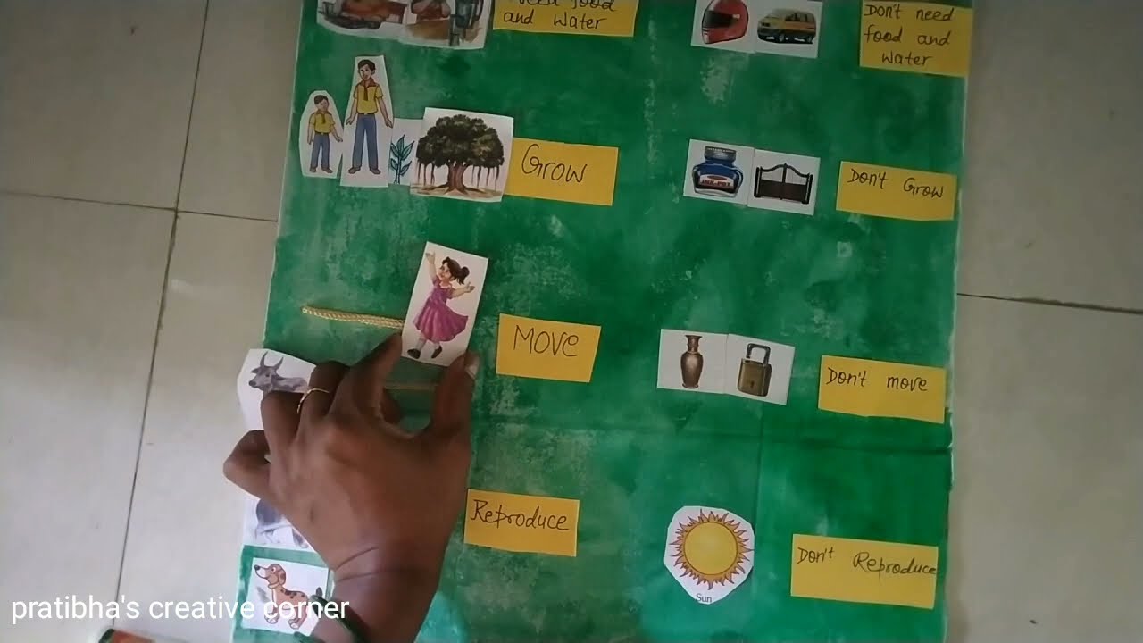 science project for school // Easy science model for school // living things and non living things