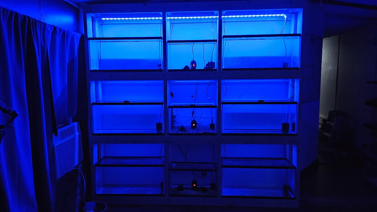 🐠 Aquarium maintenance and new product