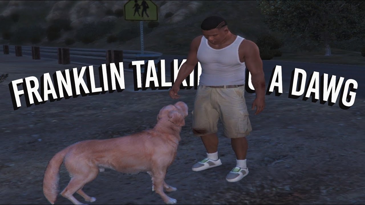 Franklin talking to a dawg in Gta 5