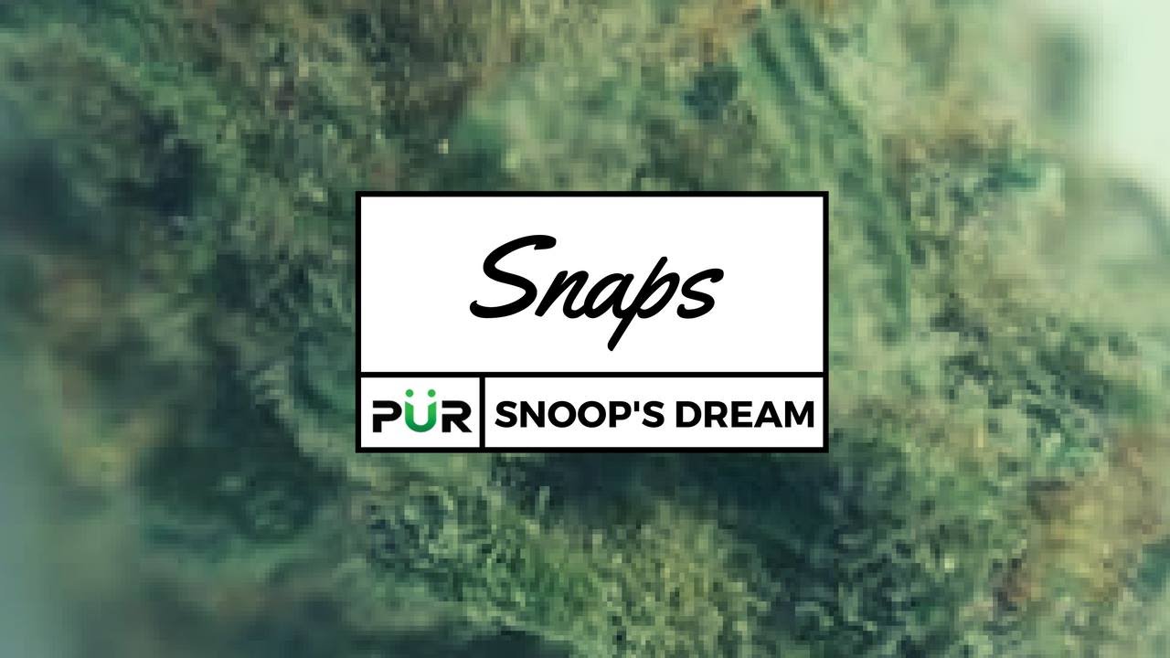 Snaps: Snoops Dream by P&uuml;r