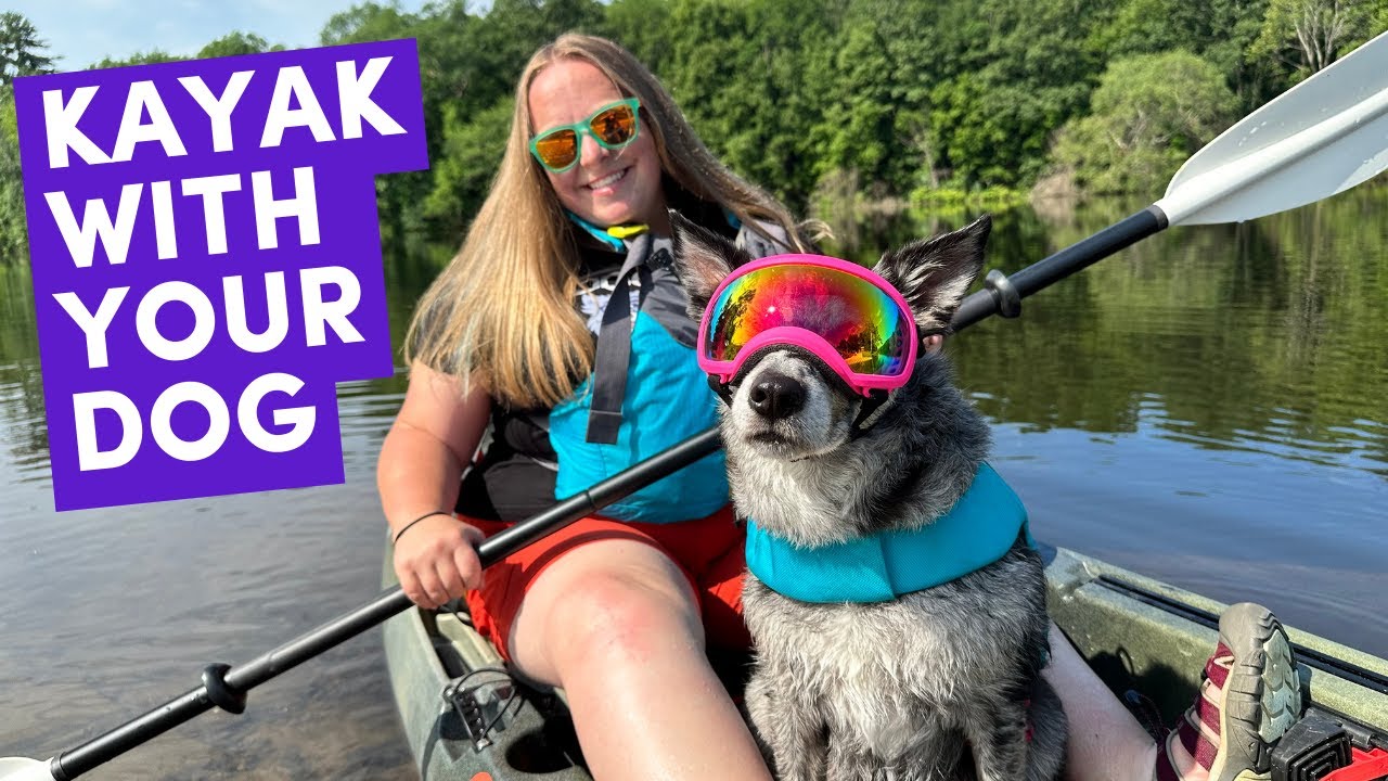 BEST WAY to TRAIN Your DOG to KAYAK (or Paddle Board)!